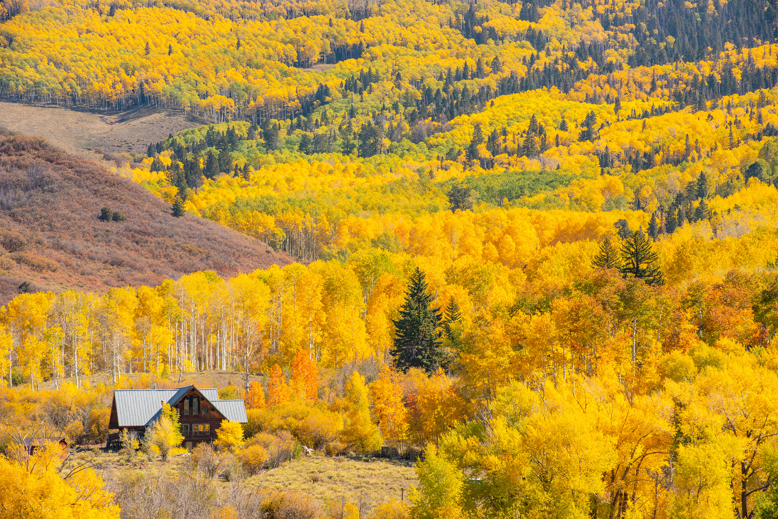 Colorado Hidden Gem: Last Dollar Road